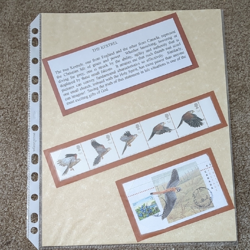 Kestrel Bird Stamp Collection Sheet